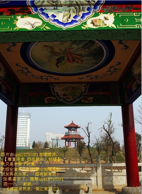 121qq415793571.jpg
