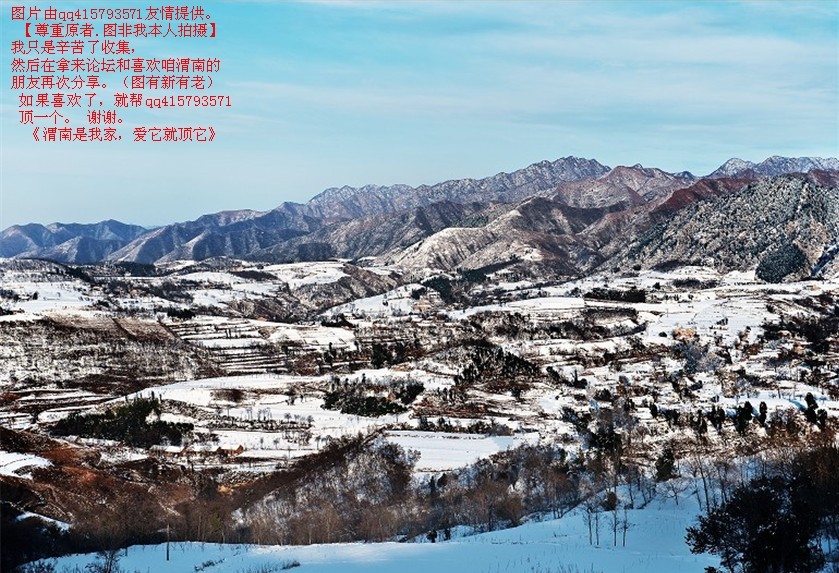 133qq415793571.jpg