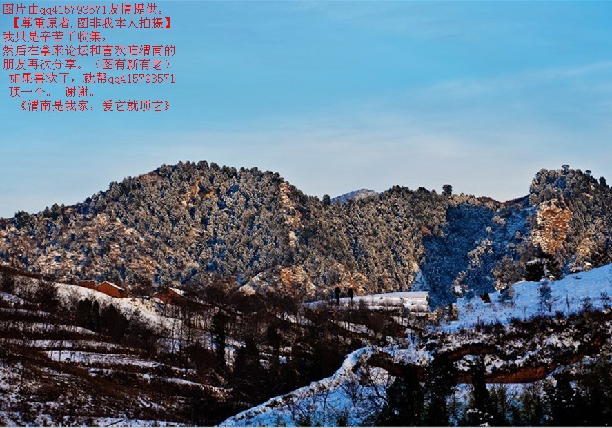 135qq415793571.jpg