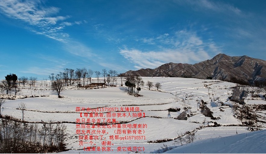 136qq415793571.jpg