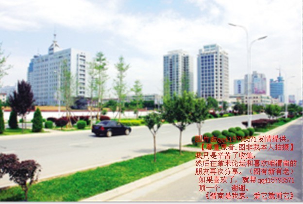 141qq415793571.jpg