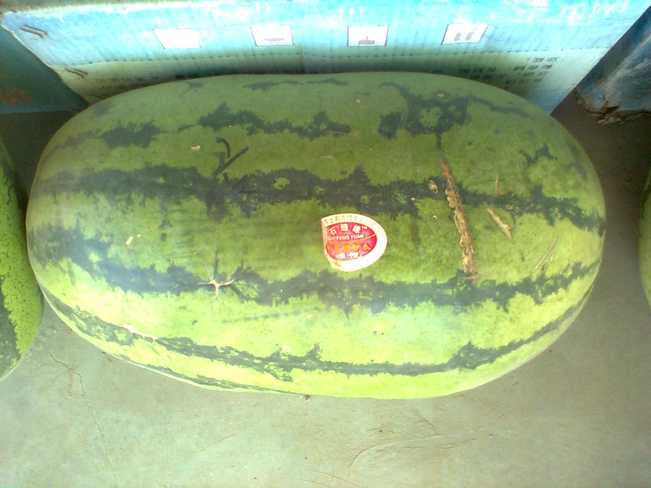 ͼ��0268.jpg