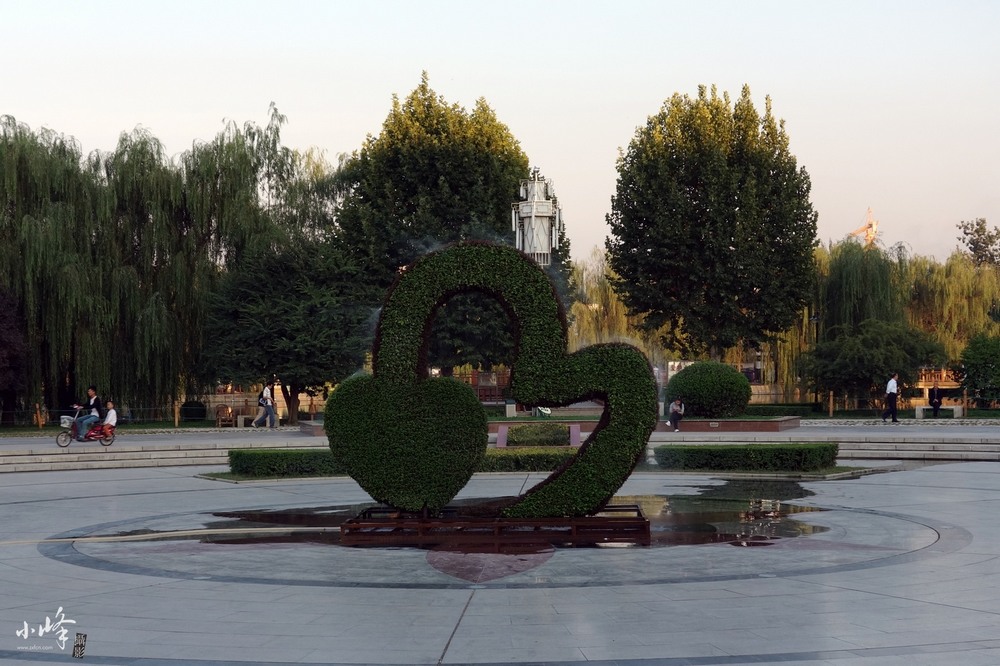 DSC00078.jpg