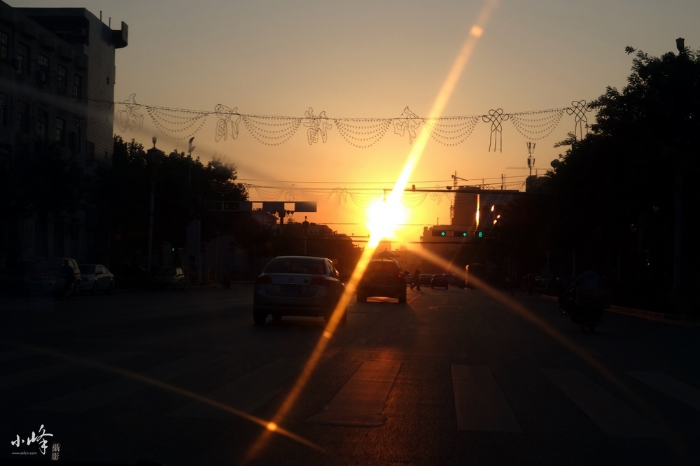 DSC00098.jpg