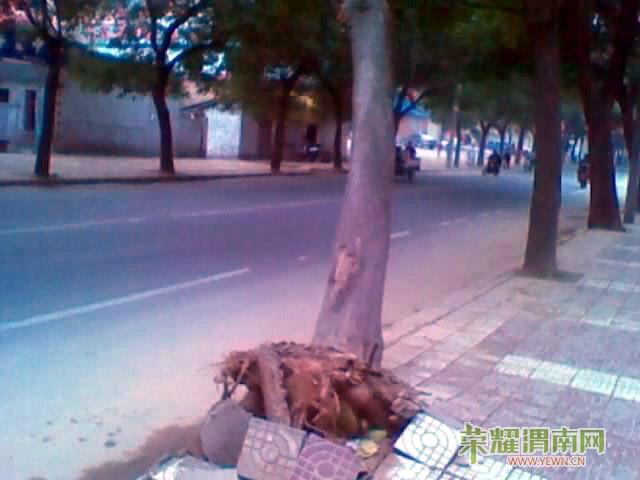 201209220917_245.jpg
