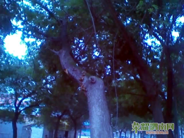 201209220918_247.jpg