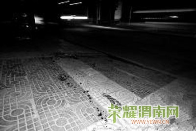 12497000_447368_����.jpg