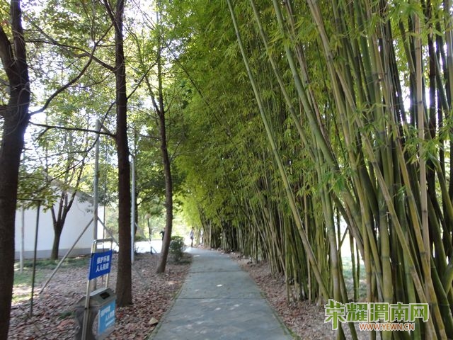 DSC00616.jpg