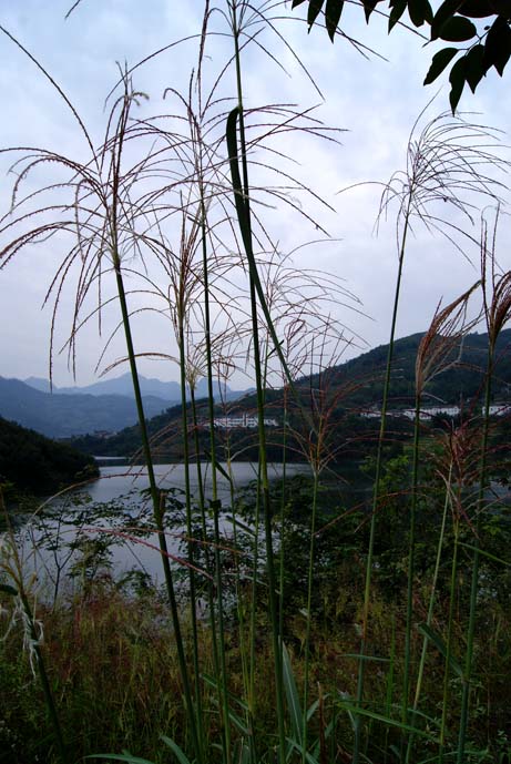 DSC04028.jpg