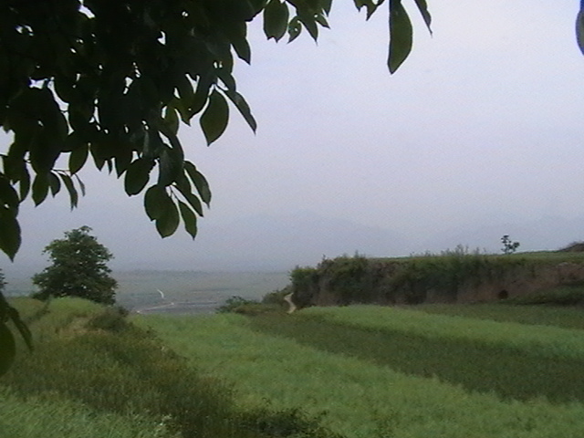 ��Ƭ 034.jpg