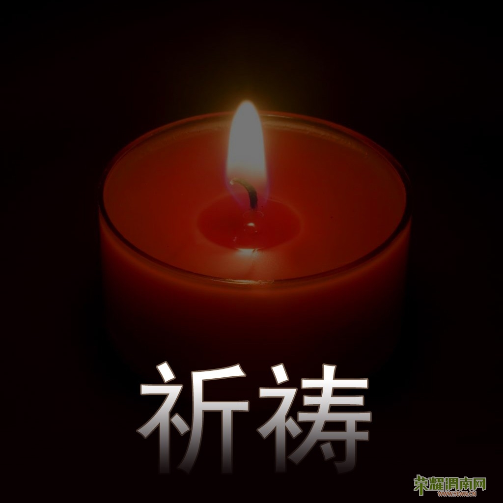 10008_1311553058CrrC.jpg
