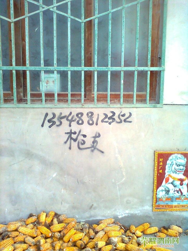 ͼ��0544.jpg