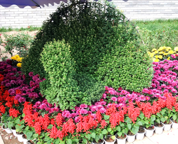 DSCF3167.JPG