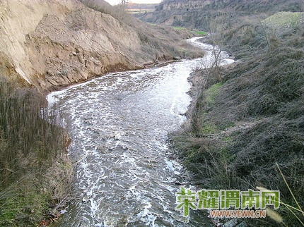 2009011632.jpg