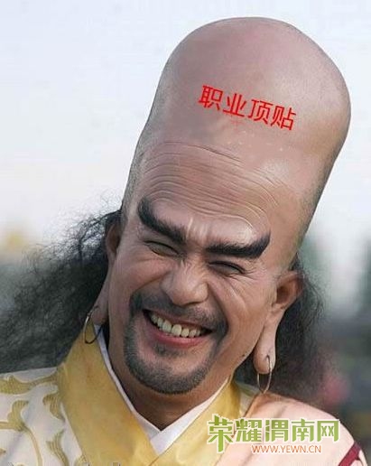 e6e7ddda3fb8b81ecdbf1a17.jpg