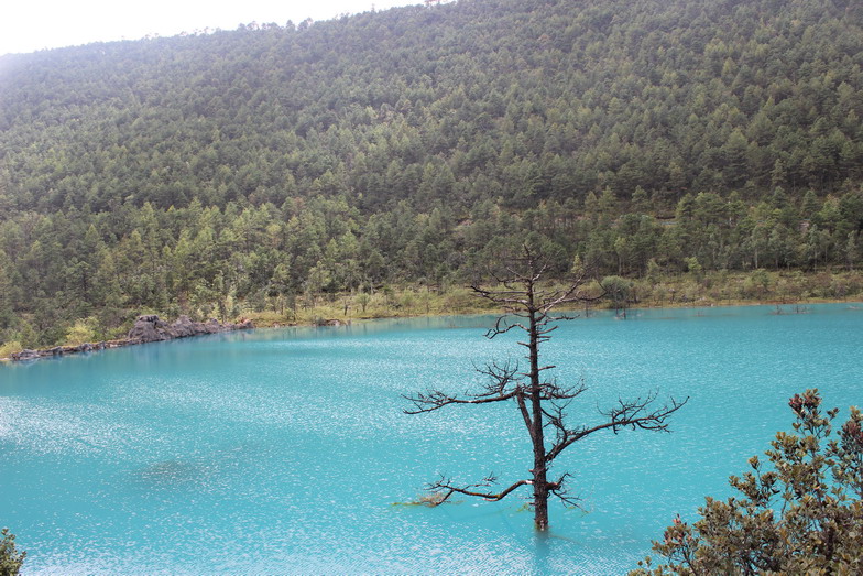 �MG_0654.jpg