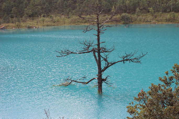 �MG_0658.jpg