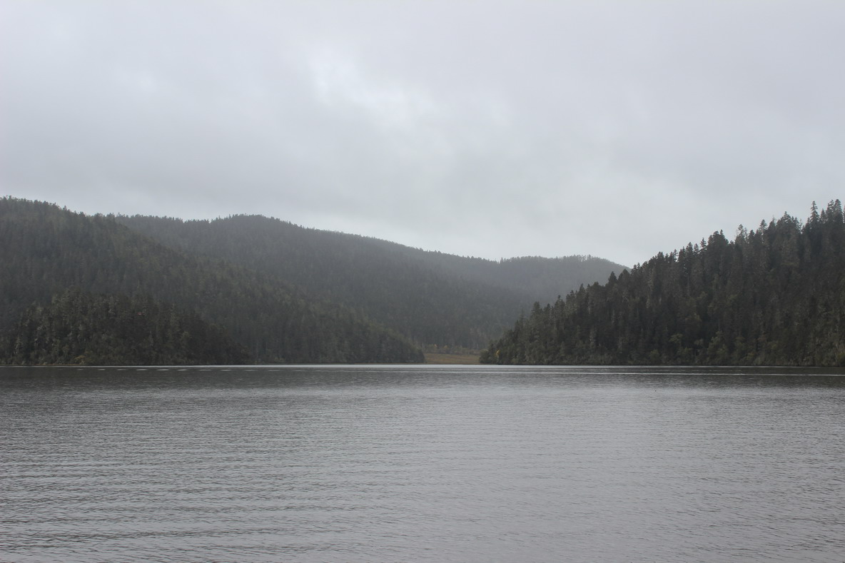�MG_0801.jpg