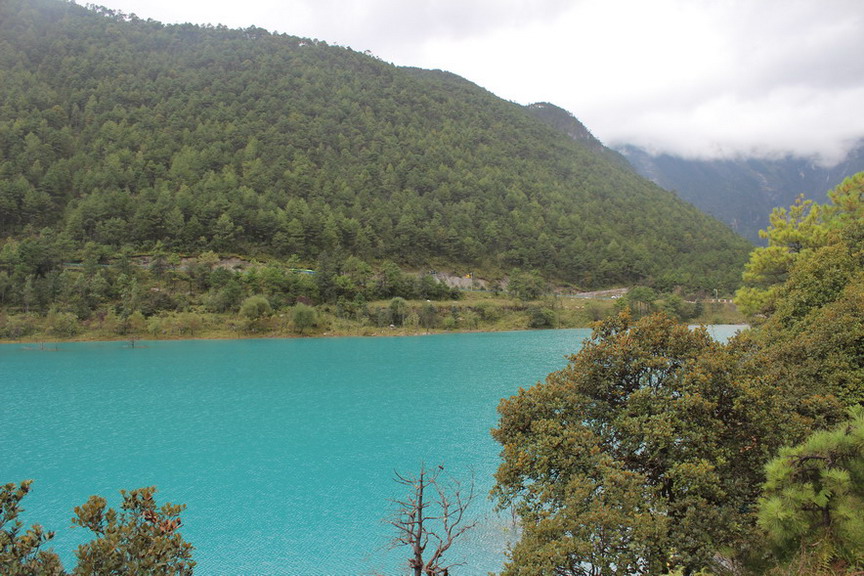 �MG_0655.jpg