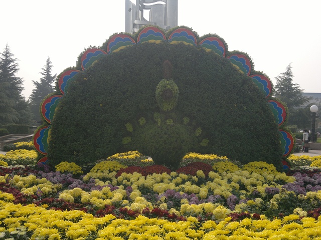 2012-10-20-167_��Ŀѹ��.jpg