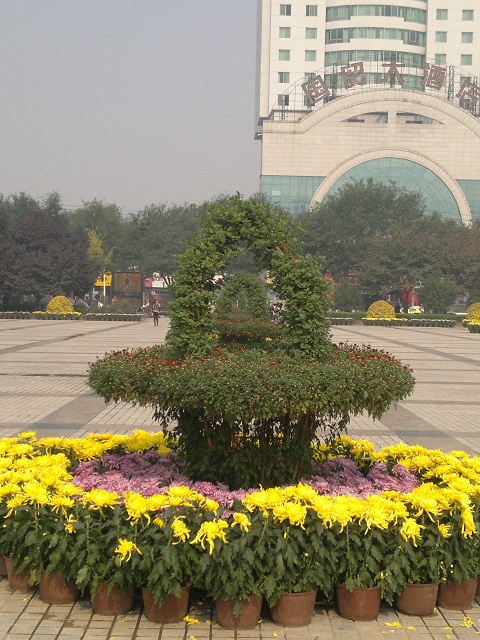 2012-10-20-172_��Ŀѹ��.jpg