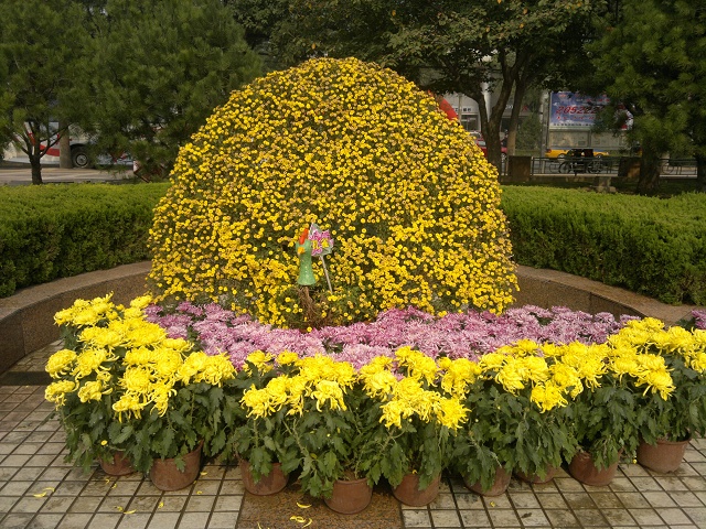 2012-10-20-175_��Ŀѹ��.jpg
