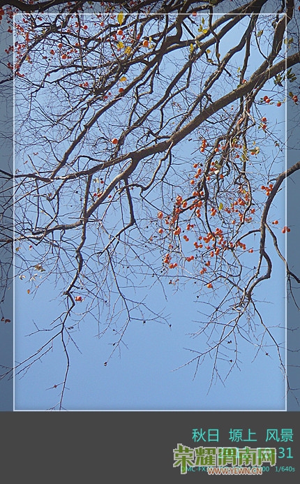 P1090775_����.jpg