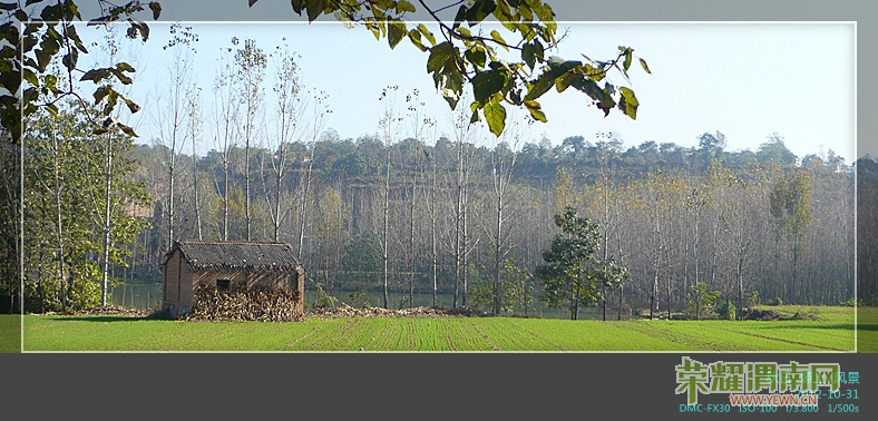 P1090699_����.jpg