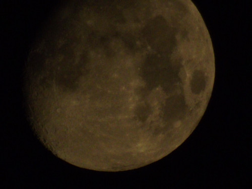 DSCF9941_����.jpg