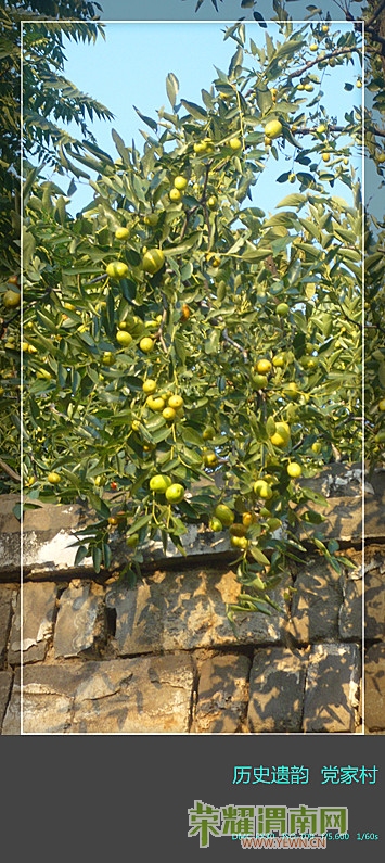 P1020126_����.jpg