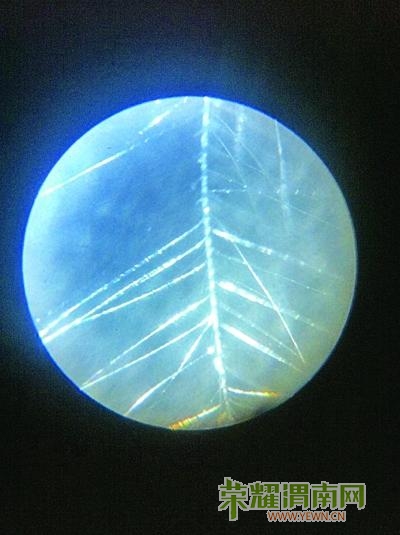 Img360507614.jpg