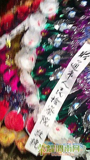 Img360550827.jpg