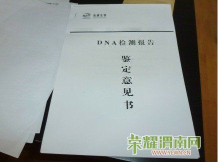 201212281749331ae69.jpg
