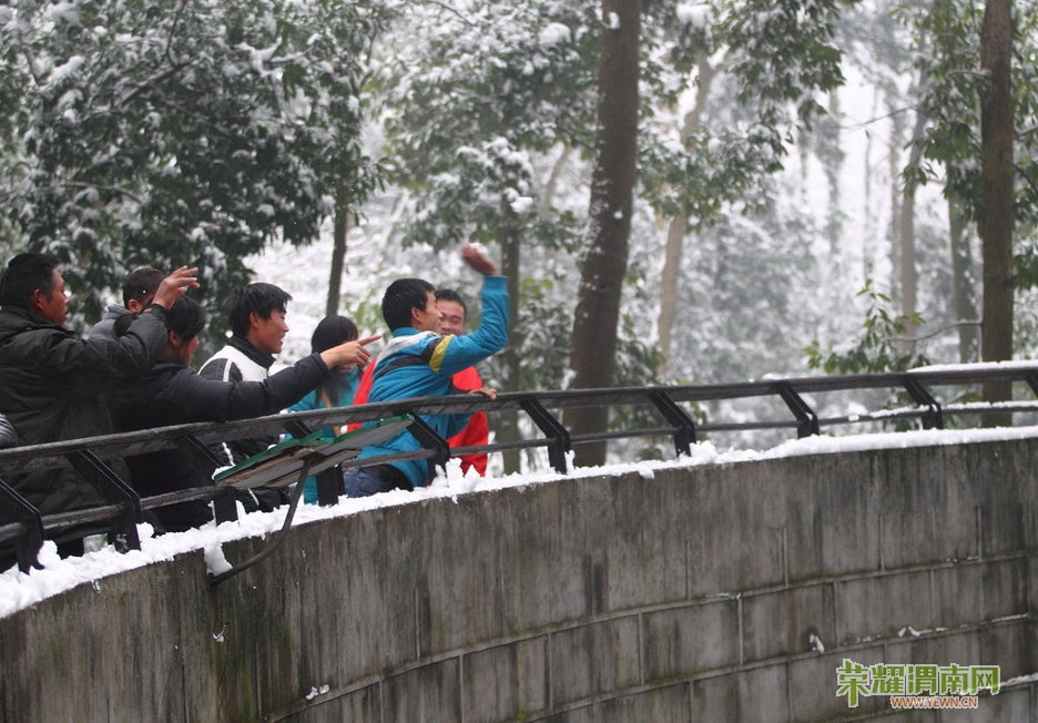 b20136075837150ea0fad1835d.jpg