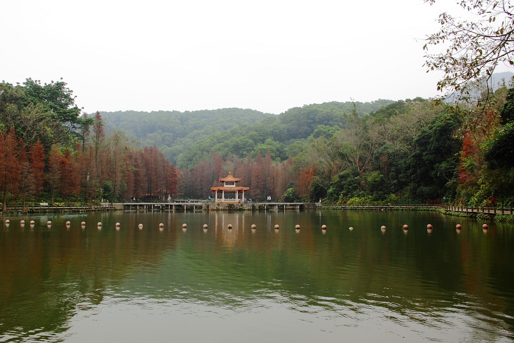 a20039623_01000.jpg