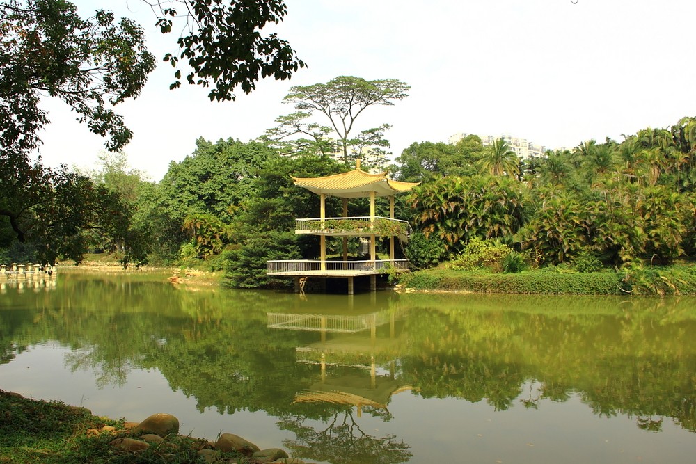 a20039658_01000.jpg