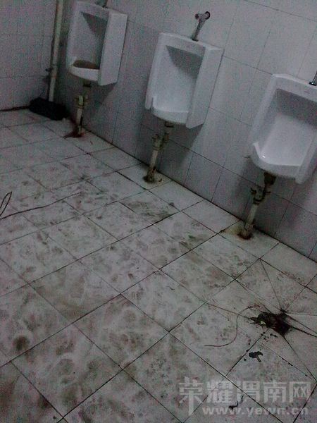ͼ��2088.jpg