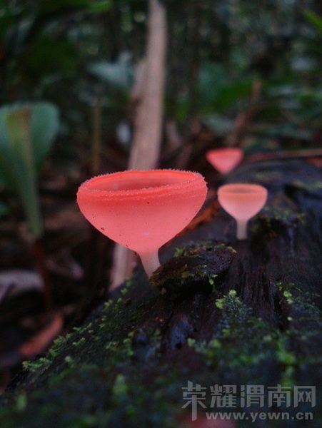 15.jpg