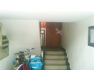 124443118_21n.jpg