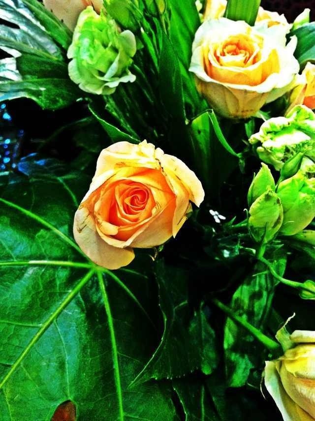flower7.jpg