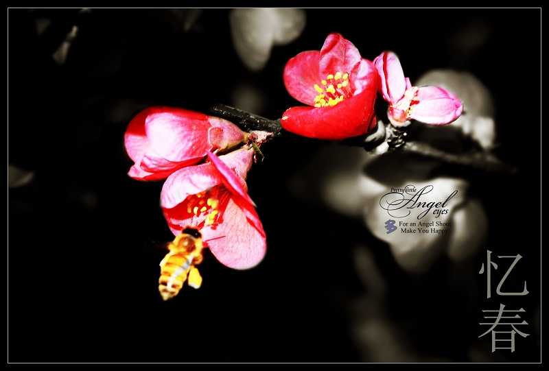 013_����.jpg