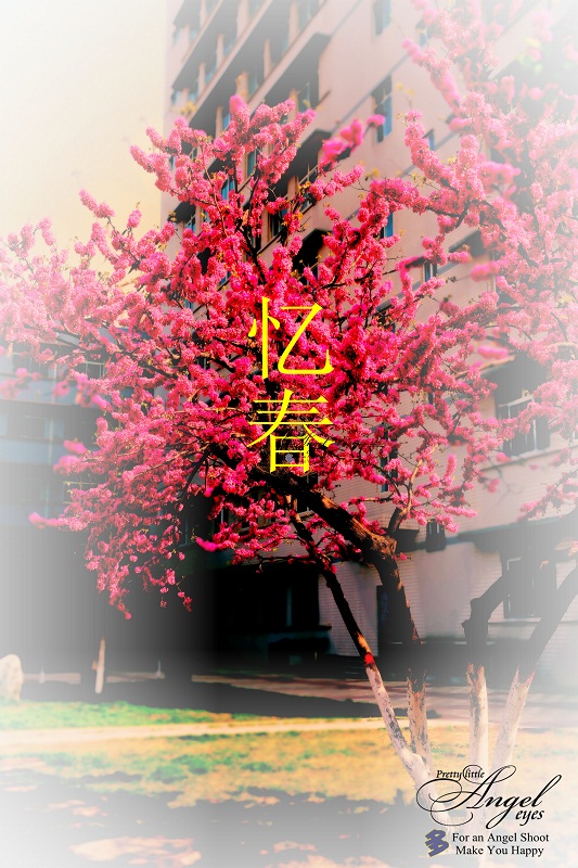 021_����.jpg