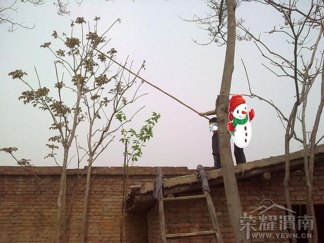 ͼ��2201.jpg