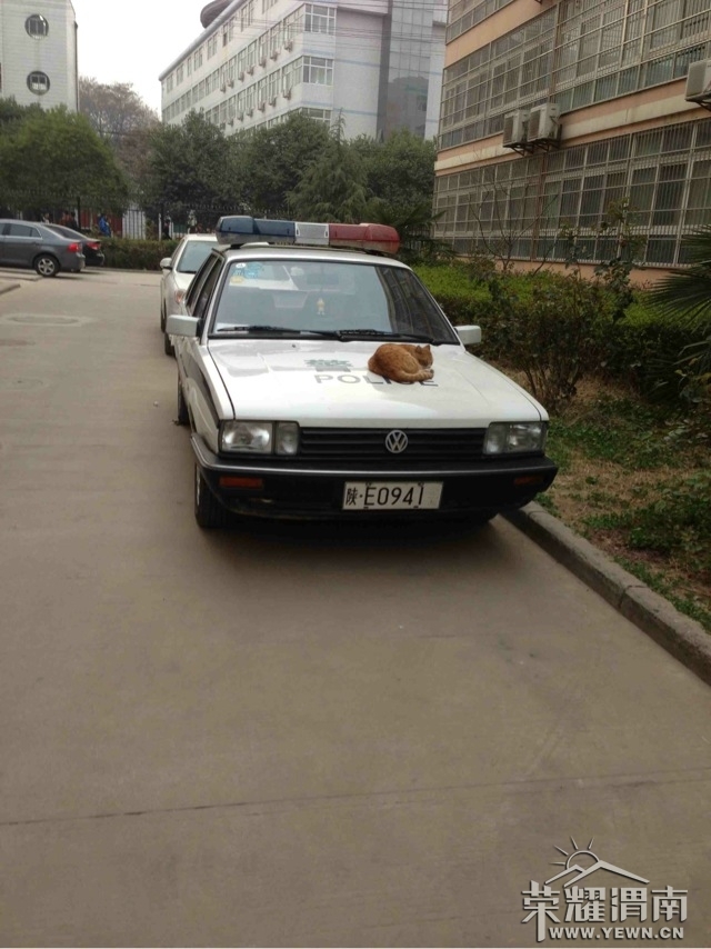 458481.jpg