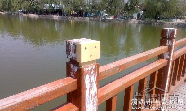 201304110218032.jpg