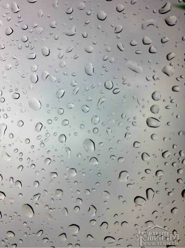 928040.jpg