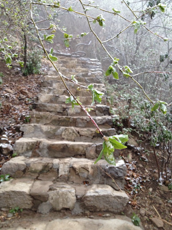 QQ��ͼ20130423100512.jpg