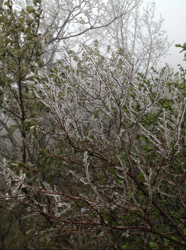 QQ��ͼ20130423100544.jpg