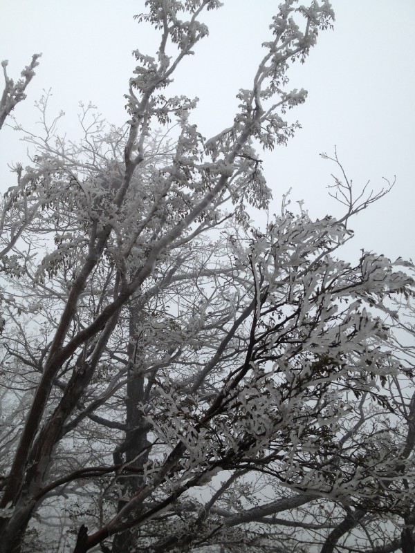 QQ��ͼ20130423100557.jpg