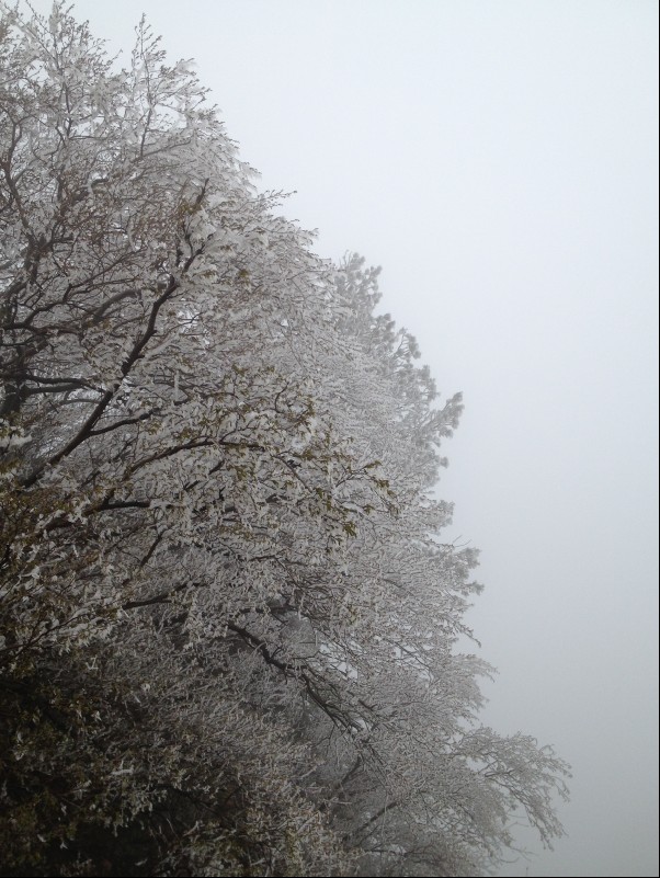 QQ��ͼ20130423100608.jpg